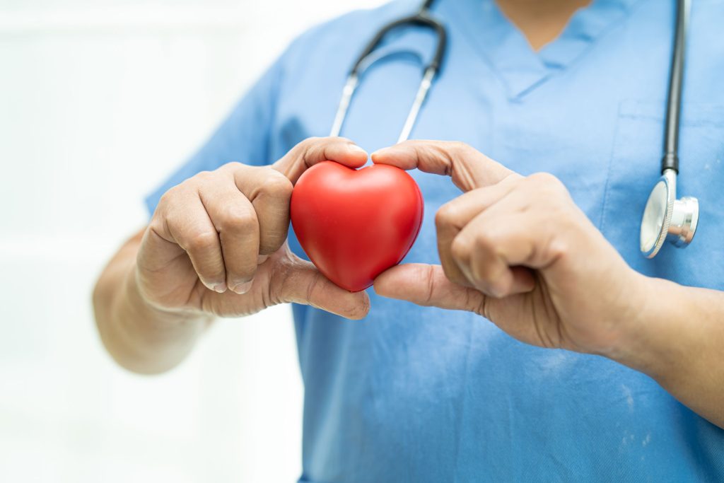Doctor holding a heart model in her hand.