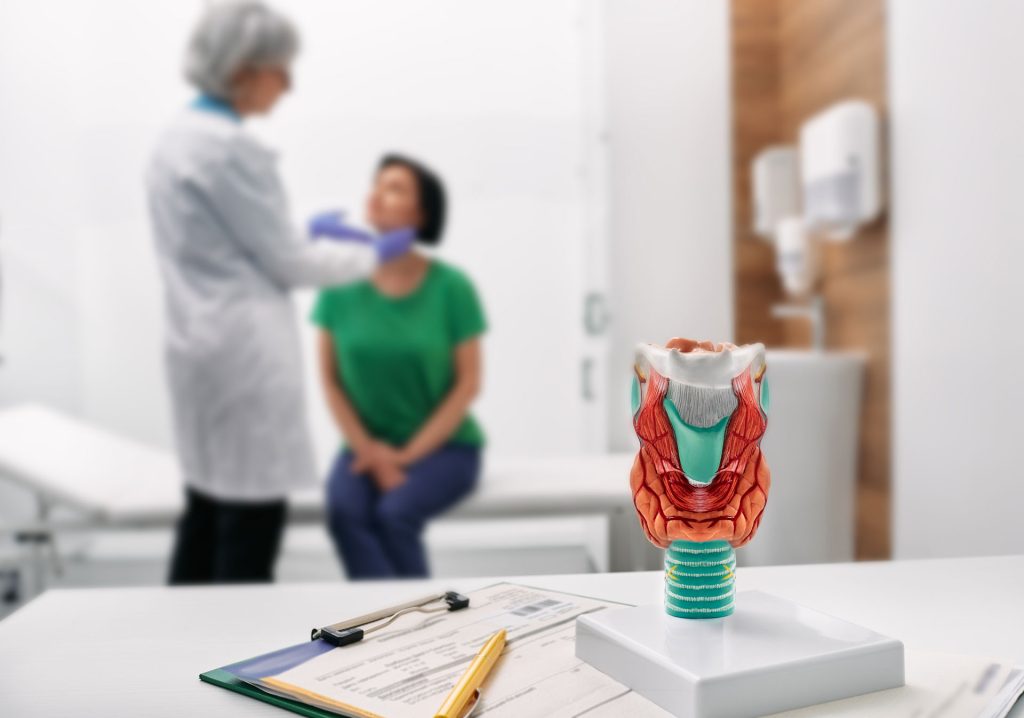 Doctor checks the thyroid of a patient with a thyroid model in table.