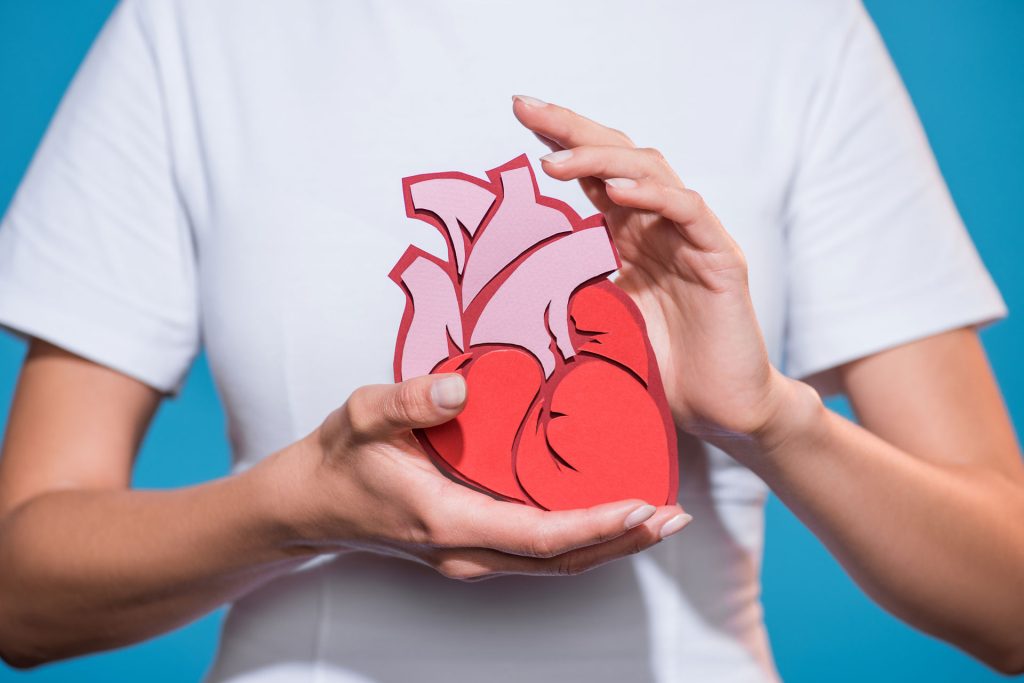 Cropped shot of a woman holding a heart model in paper.