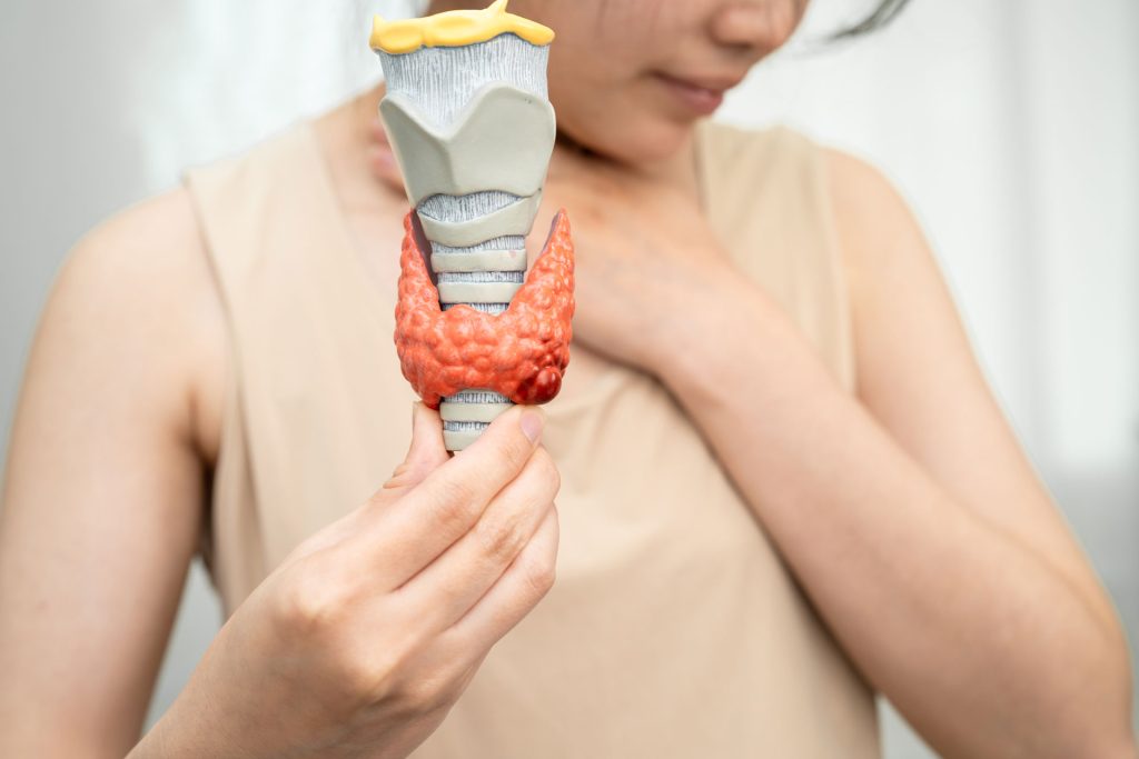 Woman holding a thyroid model.