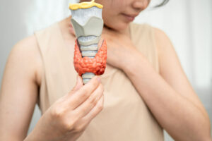 Woman holding a thyroid model.