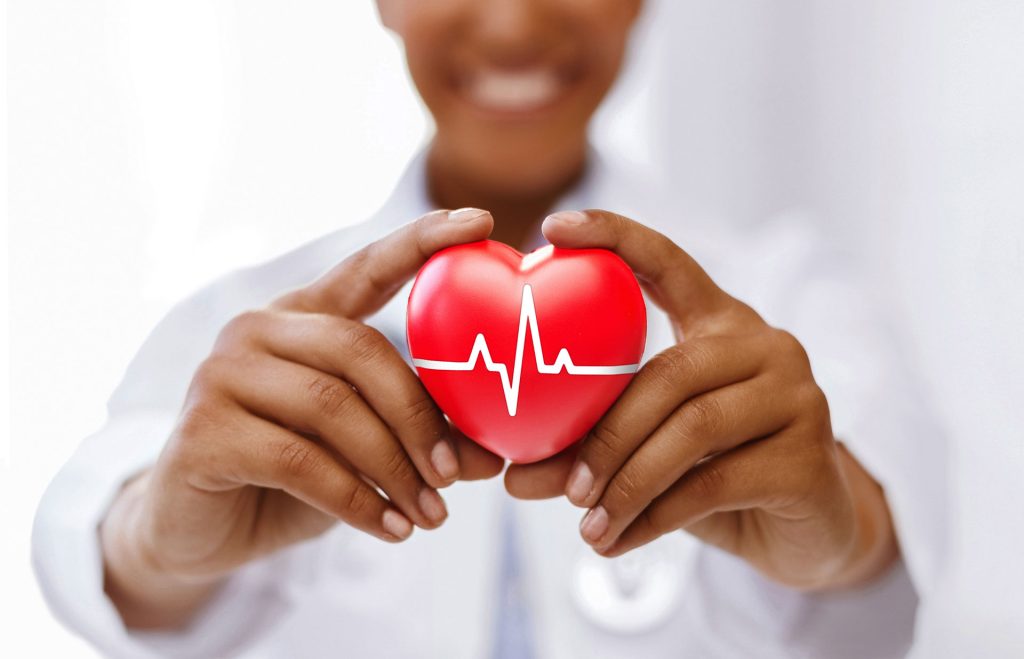 Doctor holding a heart model.