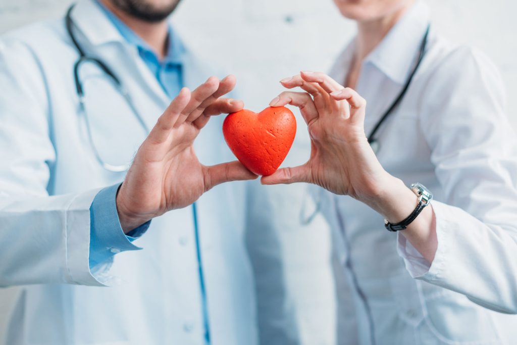Shot of doctors holding a model of heart together.
