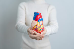 Woman holding a heart model.