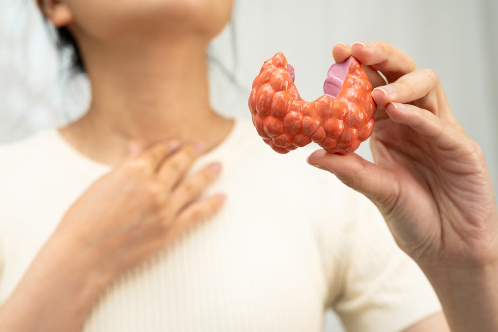 Woman holding a thyroid model.