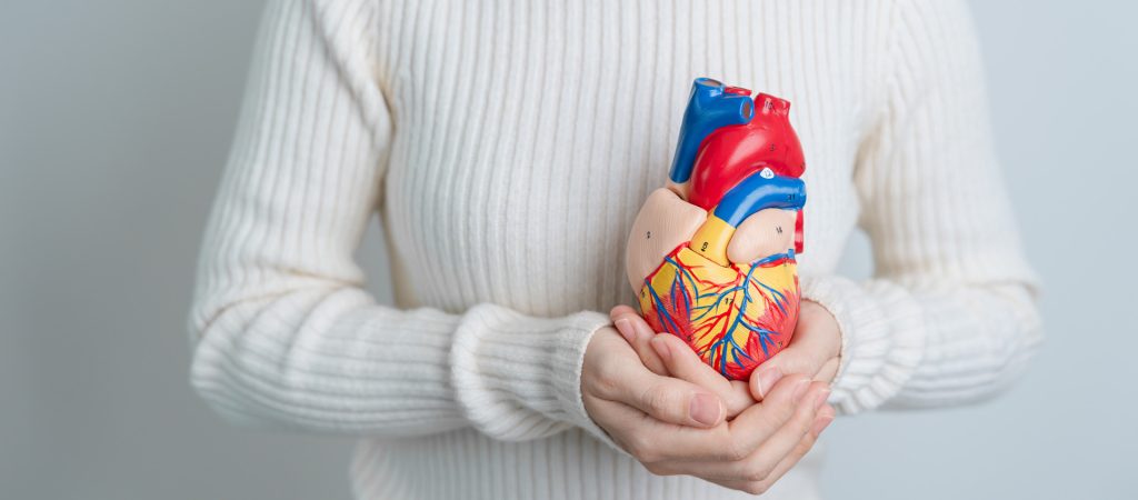 Woman holding a heart model.