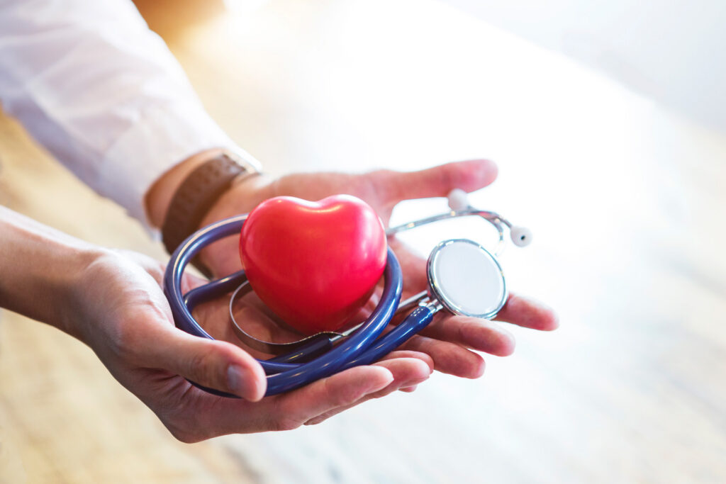 Hands holding heart model and stethoscope.